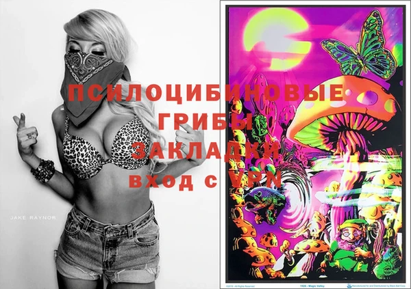 таблы Алзамай