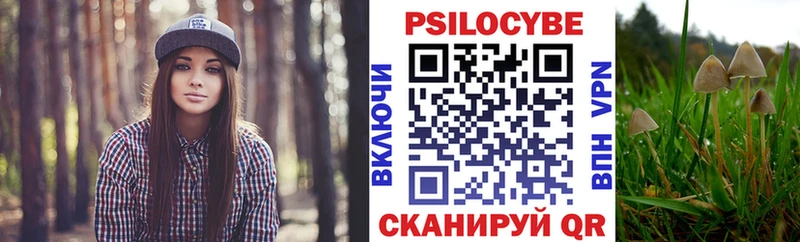 цена   Краснознаменск  Галлюциногенные грибы ЛСД 